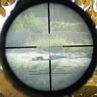 Сбитый прицел