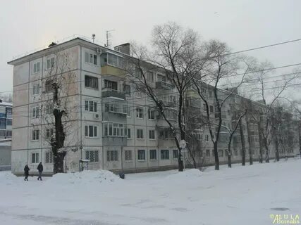 Студенческая 35