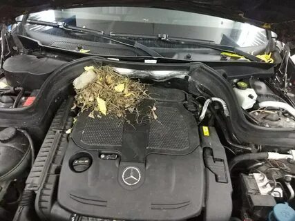 Glk 220 антифриз