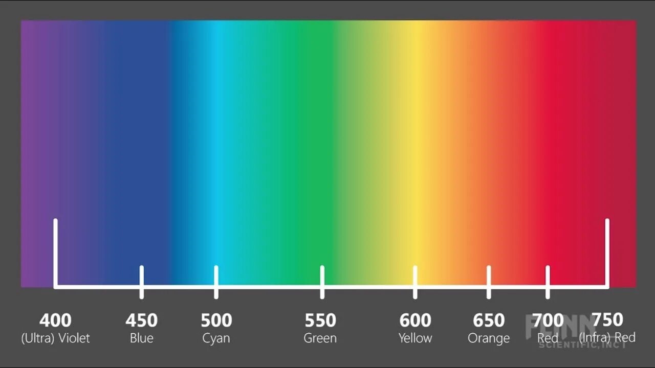 Длина световой волны желтого цвета. Видимый спектр света в нанометрах. Длина волны спектра света. Спектральные цвета. Спектр света цвета.
