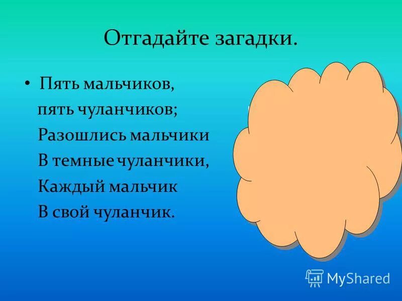 Десять мальчиков спрятались в чуланчики. Загадки для мальчиков. пять загадок. загадки для 7 класса. отгадайте загадки слайд.