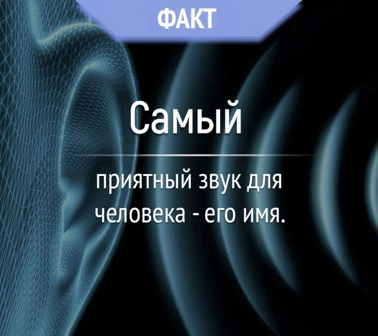 веселый человек в наушниках. музыкальное настроение. приятные и неприятные звуки. наушники и слух. картинка девушка слушает музыку.