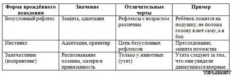 Формы поведения таблица
