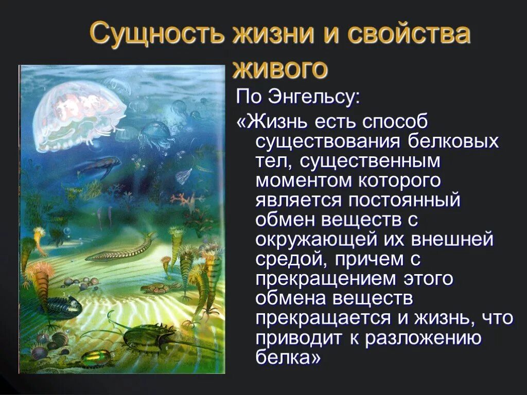 Сущность жизни и свойства живого. Сущность жизни на земле. Сущность жизни биология. Представление о жизни биология. Живые тела представляют собой