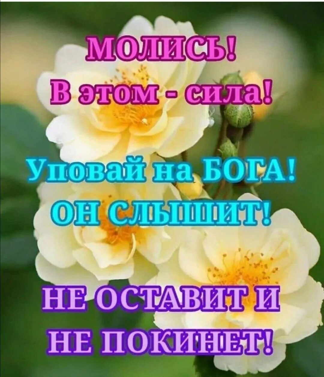 Новый день с господом. Открытки с Божьим благословением. Христианские открытки с добрым утром. Христианские пожелания доброго утра. Божьих благословений в новом дне открытки.