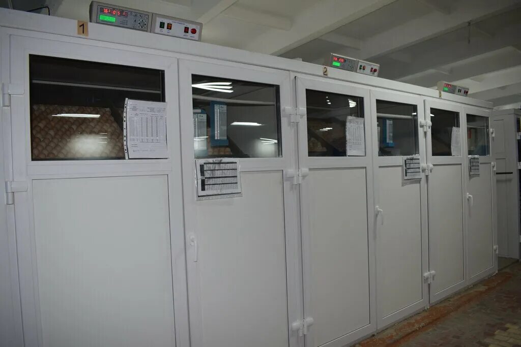 Инская птицефабрика новокузнецк. Коченевская птицефабрика продукция. Курская птицефабрика ворошнево. Выездная торговля птицефабрика. Мысковская птицефабрика.