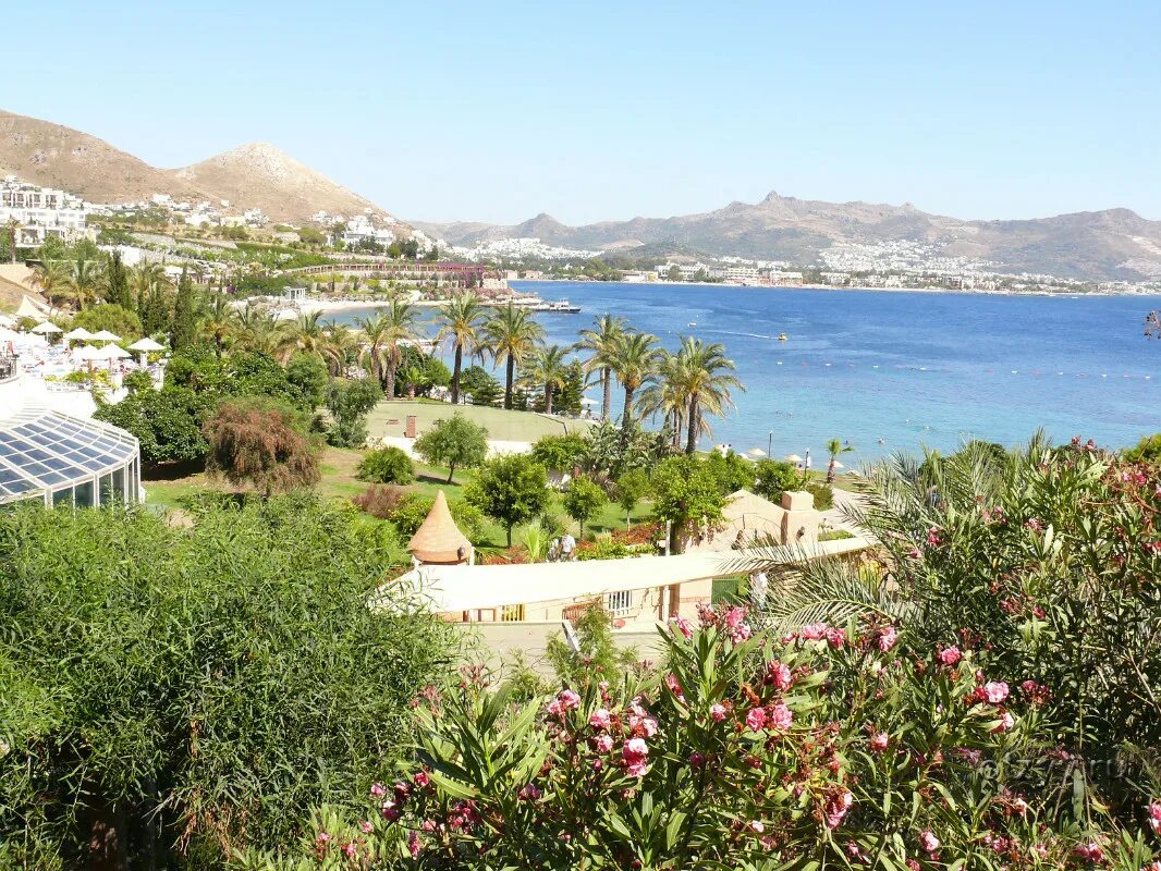 Yasmin resort 5 бодрум. Ясмин Бодрум Резорт. Yasmin Bodrum Resort 5. Ясмин репорт Бодрум. Yasmin Bodrum Resort Bodrum.