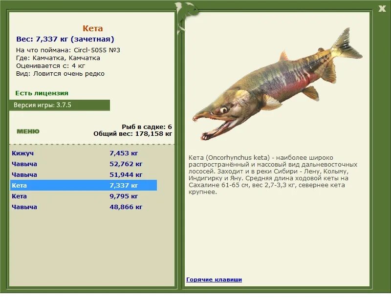 вес одной кеты. масса кету. раху и кету. масса кету. кета средний вес.
