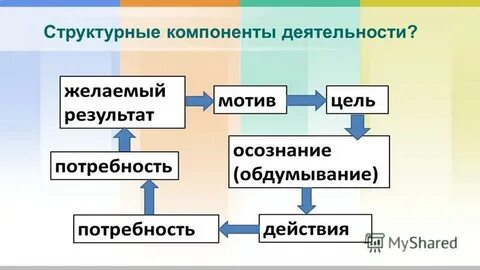 Структурные компоненты