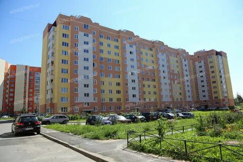 Колтуши 5