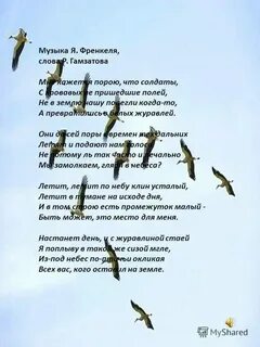Стихи расула гамзатова журавли текст