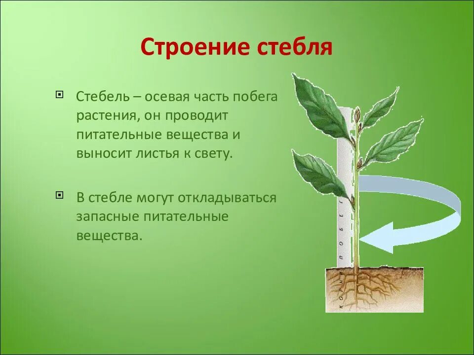 Страница выносить