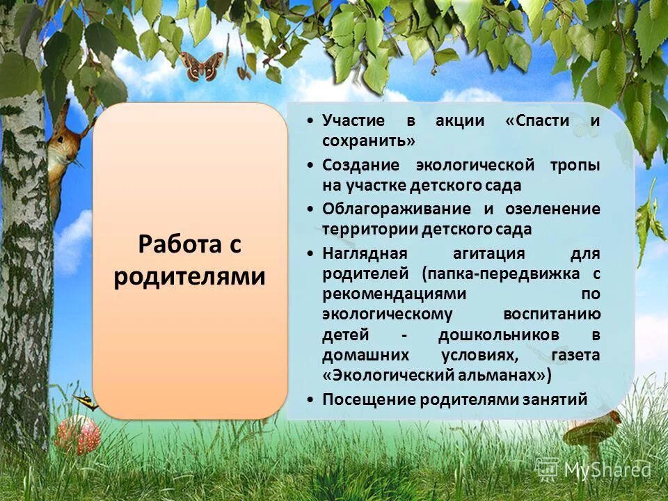 Экологические тропы в детском саду. Экологическая тропа в детском саду. Экологическая тропа для дошкольников. Экологическая тропа в ДОУ. Занятие экологическая тропа средняя группа