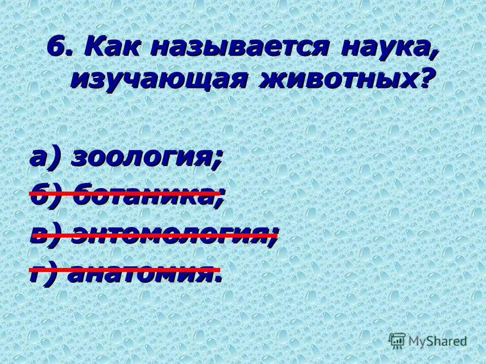 Как называется наука изучающая. Как называются науки. Как называется наука о животных. Как называется наука о человеке.