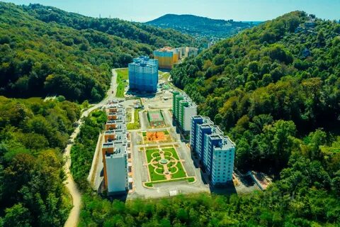 Комплекс лес сочи