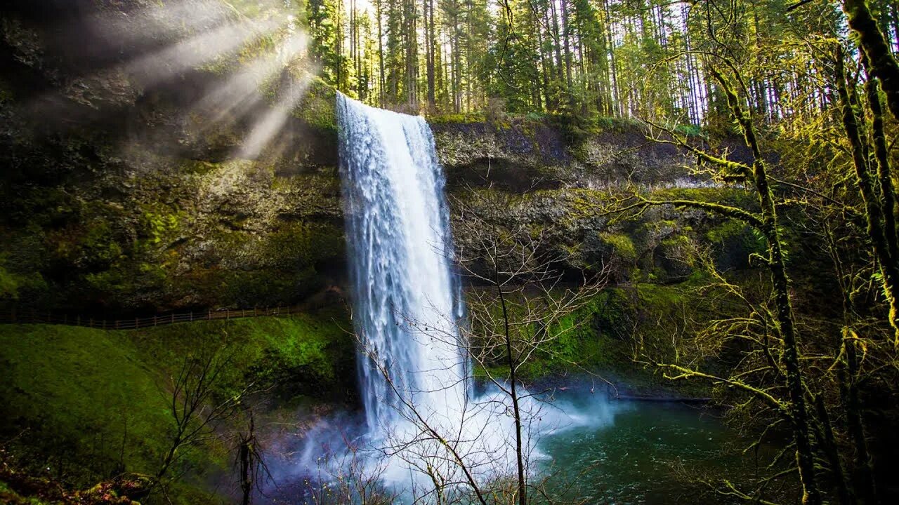 Сильвер Фоллс Орегон. Государственный парк "Сильвер-Фоллс. Silver Falls State Park Oregon. Государственный парк Сильвер Фоллс Орегон HD. Falling state