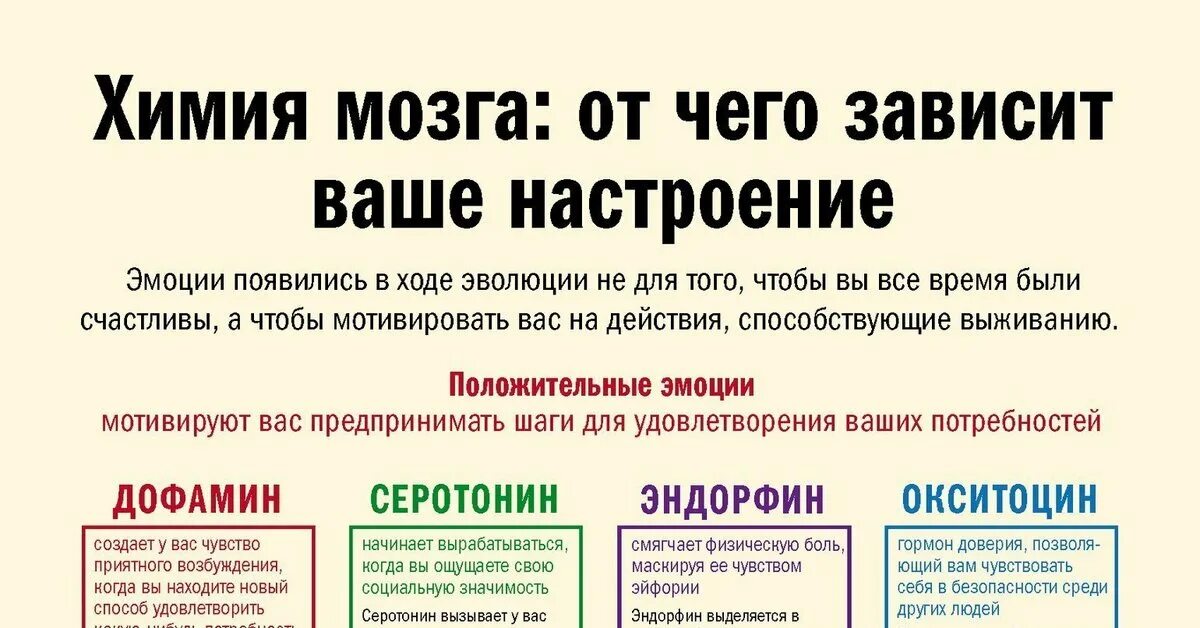 Какое чувство в человеке вызывает гормон эндорфин. Химия мозга от чего зависит настроение. Химия мозга от чего зависит ваше настроение. Химия мозга гормоны. Химия мозга от чего зависит наше настроение.