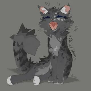 Котик грей