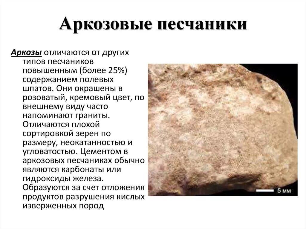 Биология 7 класс песчаник. Кварцит горная порода. , калинова г. Лабораторная по биологии 5 класс. Светлый песчаник.