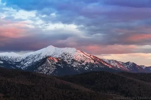 Борус красноярск
