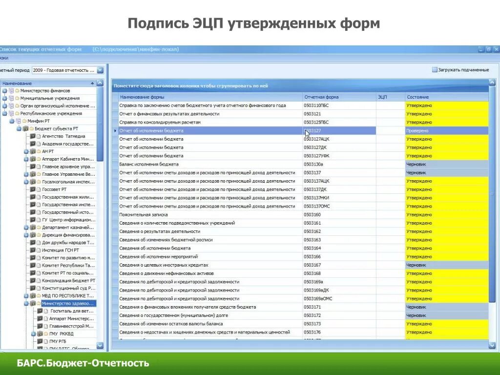 Ошибка флк тег 1105. Программа Барс бюджет. Барс программа Бухгалтерия бюджет. Барс система отчетности. Барс формы отчетности формы.