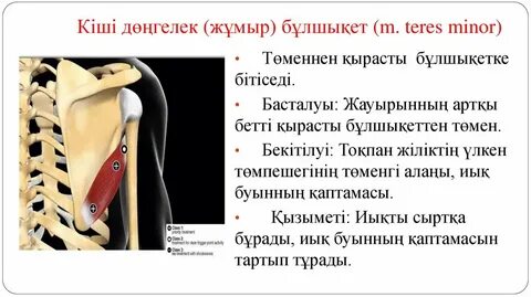 Трусики в спермы порно