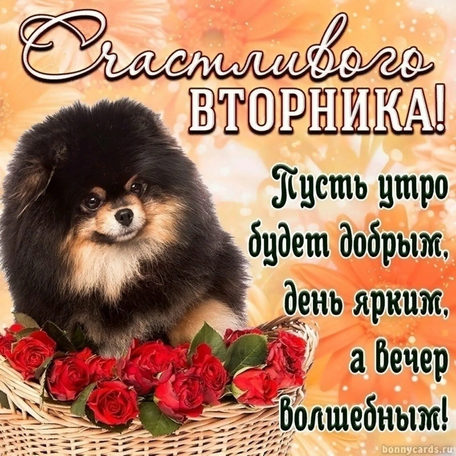Доброго вторника картинки. Хорошего вторника отличного. Открытки на вторник с пожеланиями. Открытки со вторником. Поздравления с днём вторника.