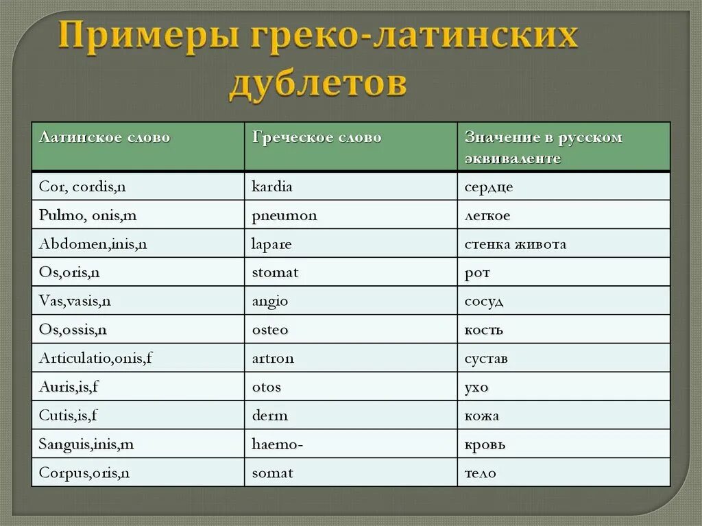 Слова пришедшие из латыни. Греко латинские дублеты. Греко-латинские дублеты латынь. Греко-латинские дублеты примеры. Греческие дублеты латынь.