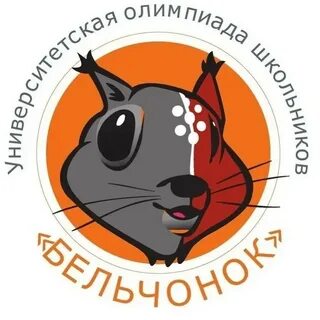 Бельчонок информатика