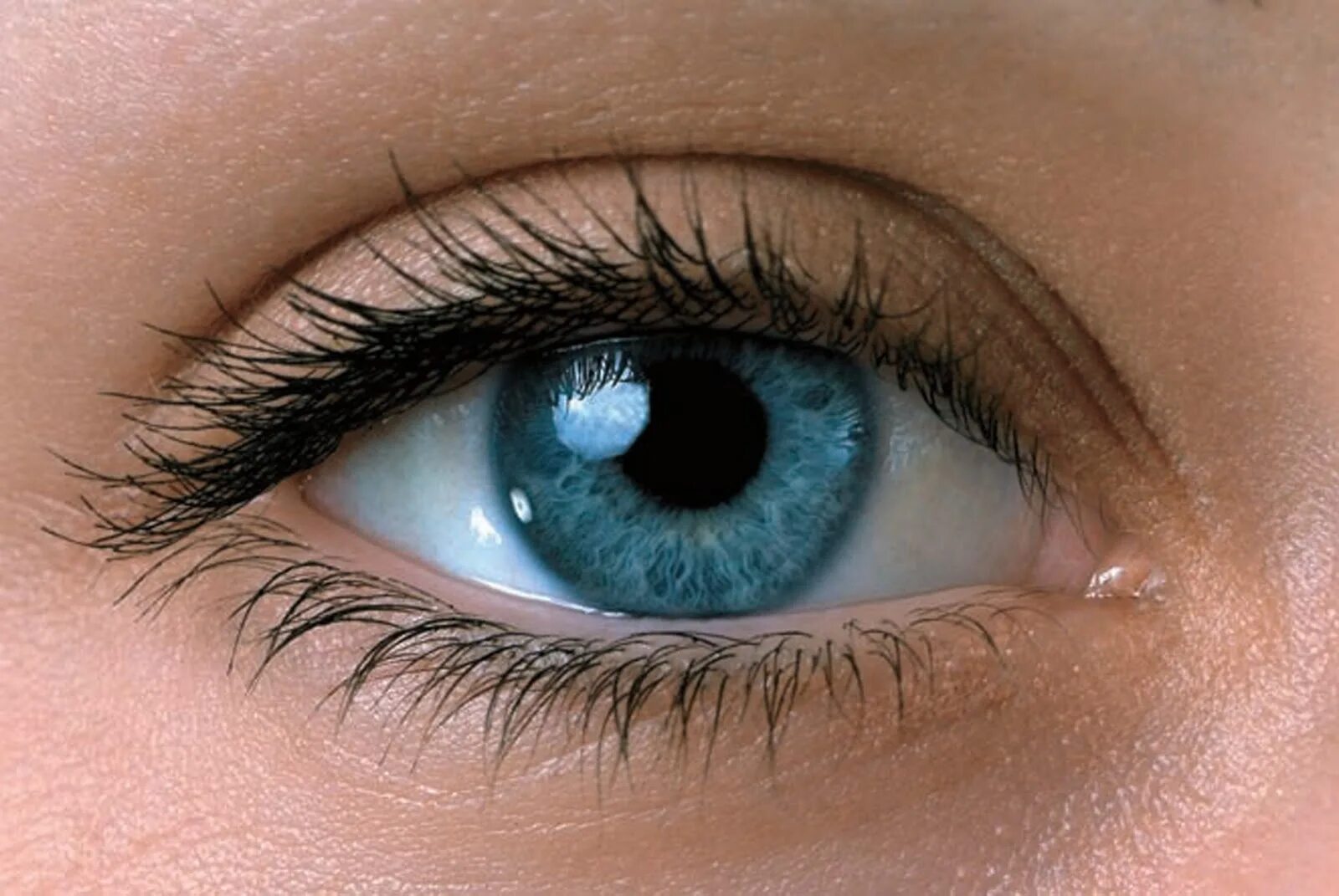 Are you blue eyes. Голубые глаза мужские. Голубые глаза мужские. Are you blue eyes. Голубые глаза.