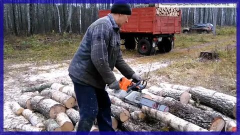 Видео заготовка