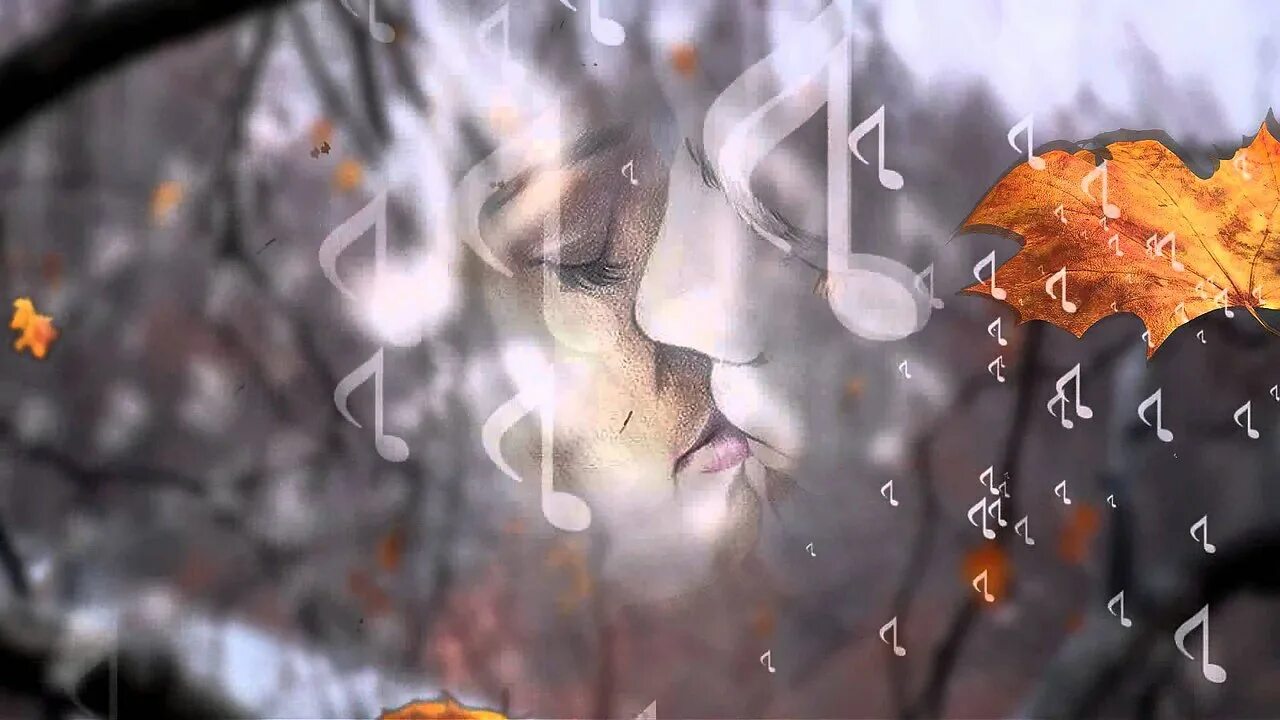 Буду долго стоять под осенним дождем. Дождь осенью. Девушка с зонтом под дождем. Осенний дождик и любовь. Шопен вальс дождя.
