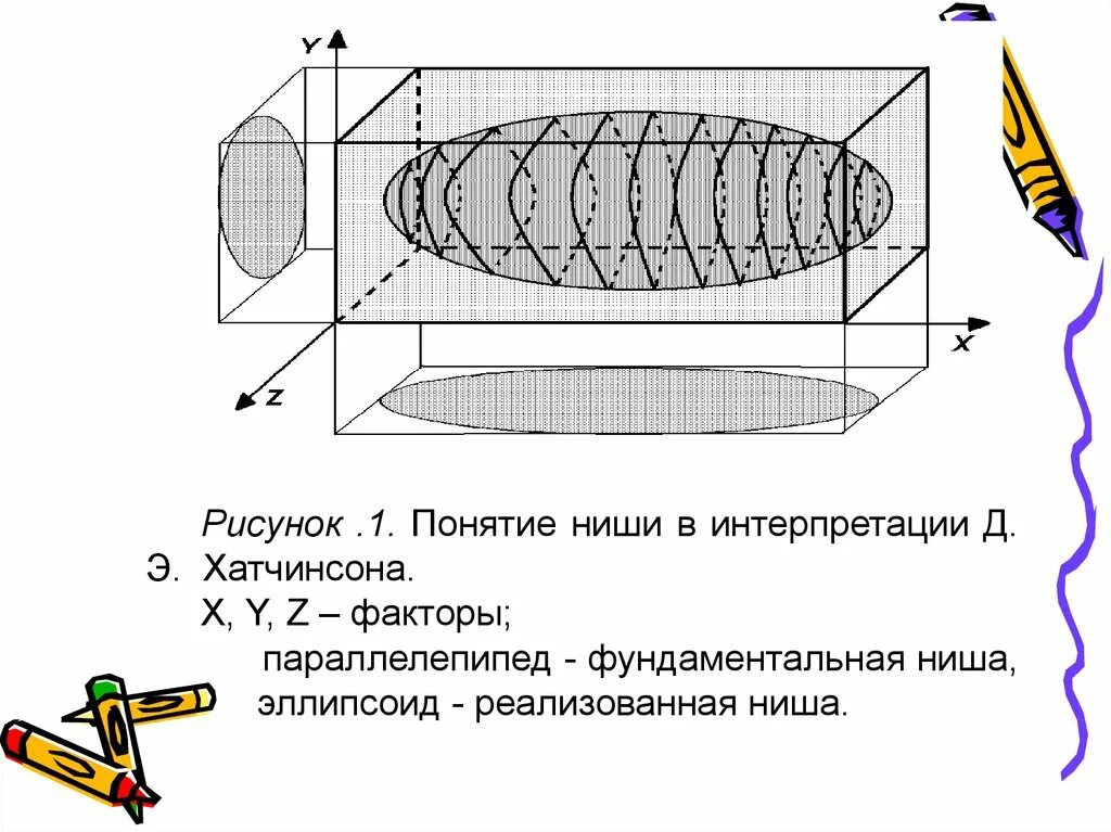 Хатчинсон экологическая ниша. Потенциальная и реализованная ниша. Фундаментальная и реализованная ниша. Реализованная ниша. Потенциальная ниша