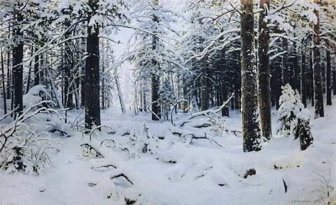 Шишков зима