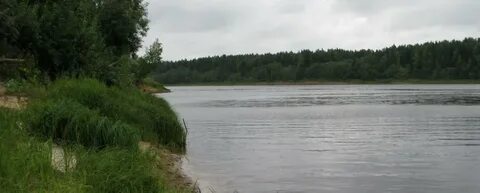 Погода в нижнем пальнике на 10 дней