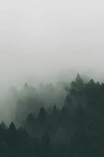 Горе о туман 4 действие