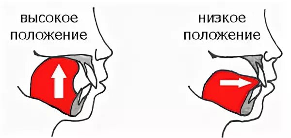 верхнее положение языка