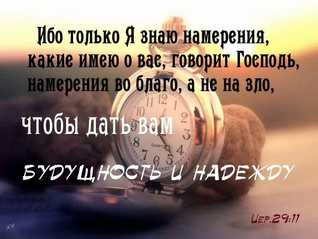Только я знаю намерения какие имею о вас намерения во благо а не на зло. Ибо только я знаю намерения. Только я знаю намерения какие. Только я знаю намерения какие. Только я знаю намерения о вас говорит господь.