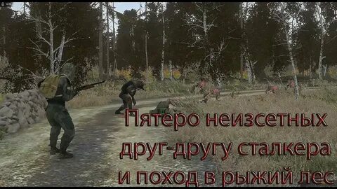 Сталкер походы
