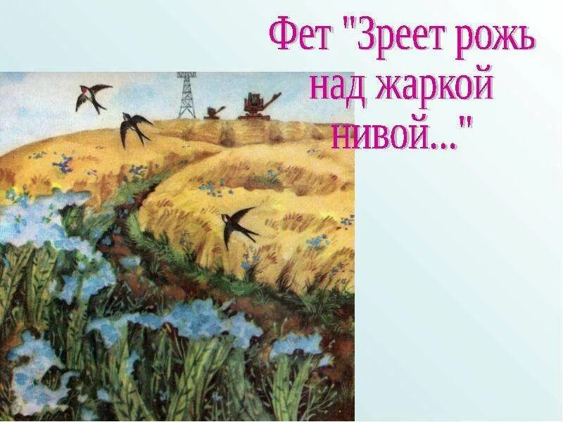 Стихотворения фета зреет рожь. Зреет рожь над жаркой Нивой Фет. Иллюстрация к стихотворению зреет рожь над жаркой Нивой. Фет зреет. Стих Фета зреет рожь над жаркой Нивой.