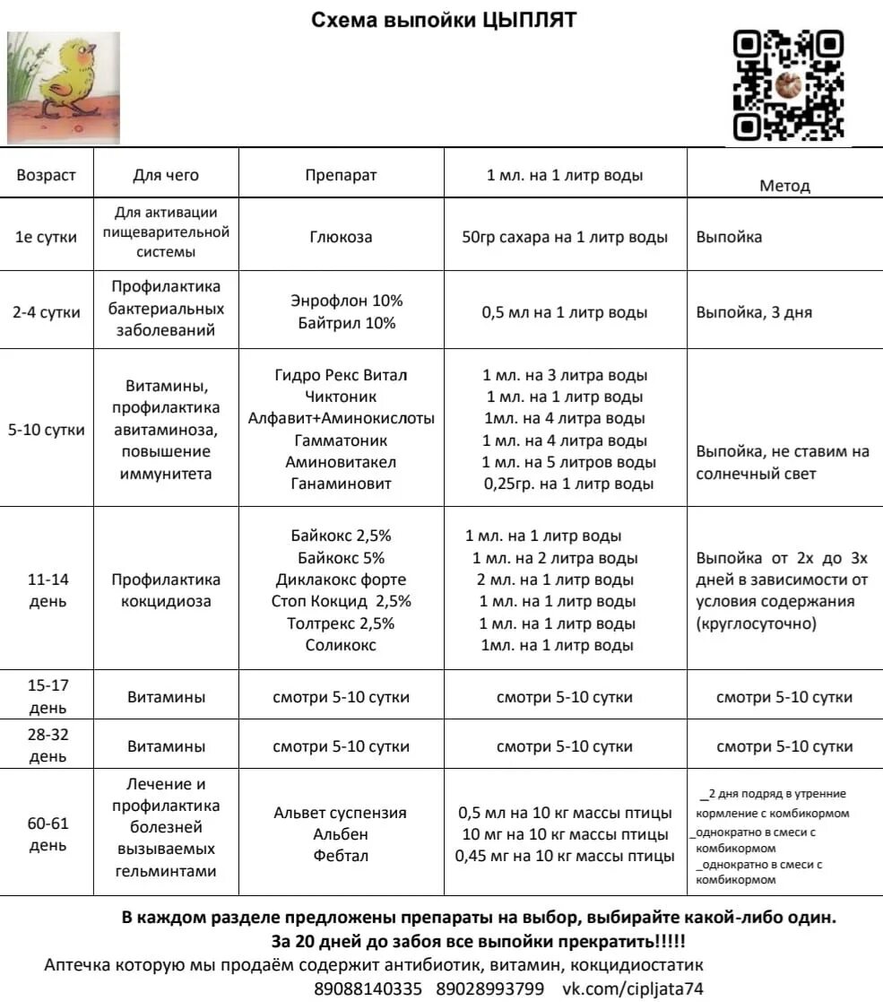 Пропойка бройлеров с первого дня жизни