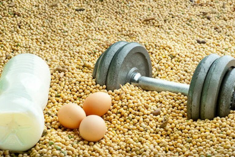 Лучший белок после тренировки. Лучший белок после тренировки. Спортивное питание для женщин. Протеин для набора мышечной массы для мужчин. Качки с едой.