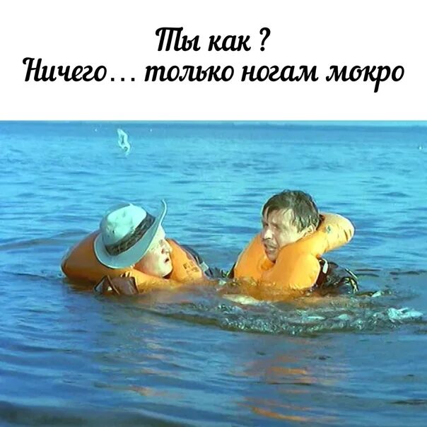Особенности национальной подводной рыбалки. Особенности национальной рыбалки миина. чердынцев особенности национальной рыбалки. особенности национальной рыбалки семенов ты идиот?. особенности национальной рыбалки ну семенов.