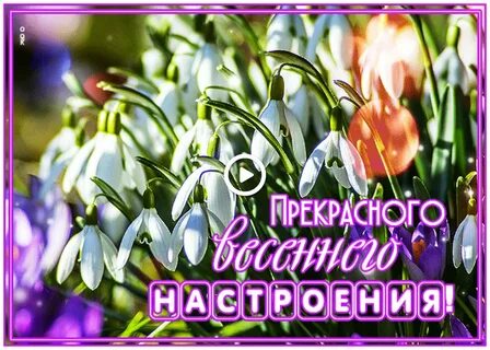 Видео хорошего весеннего дня