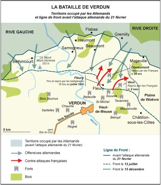 Им верден. Форт Верден на карте. Верден 1916 карта. Verdun системные требования. Верден и Париж.