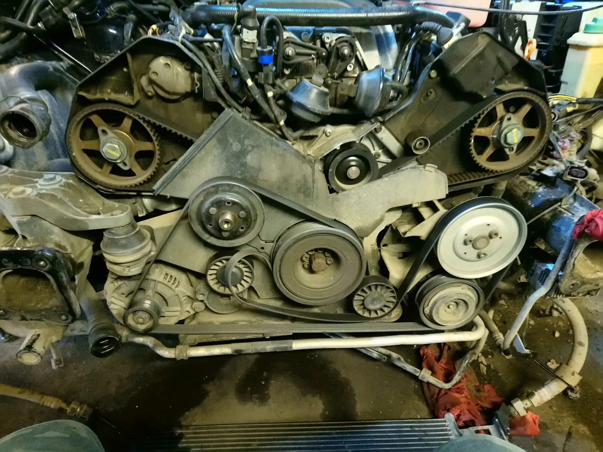 8 грм. 5 тди. 8 ремень грм. ремень грм ауди а6 с5 2. грм ауди а6.