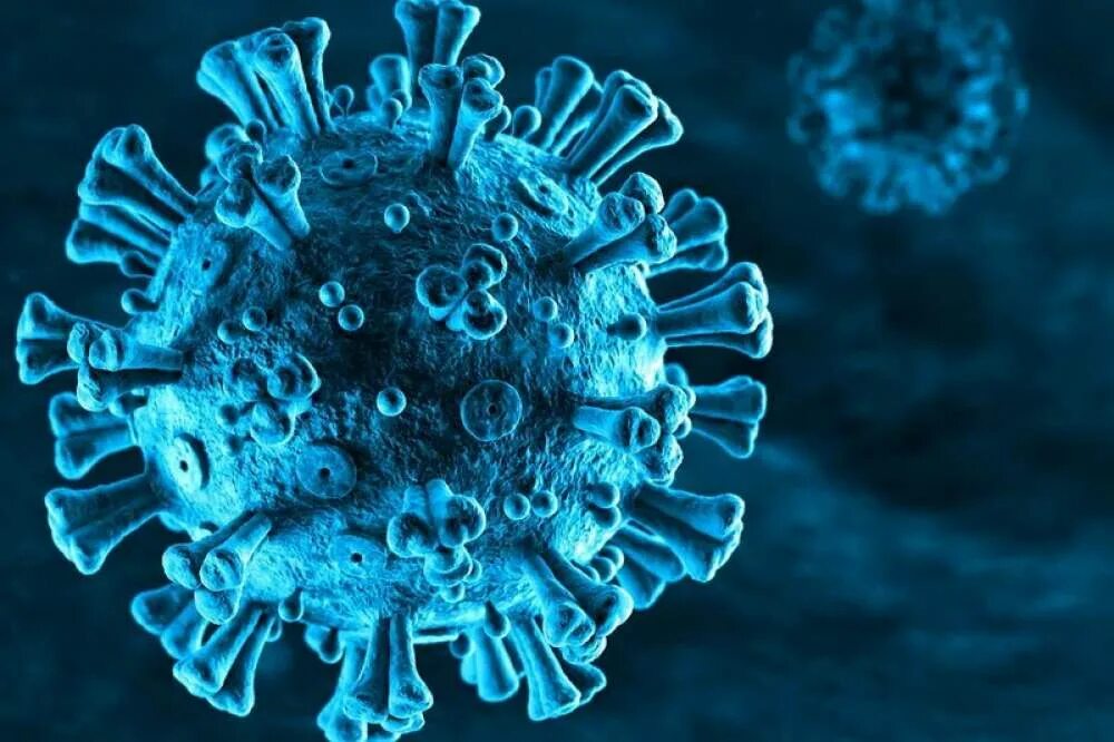 Вирус ковид. Covid-19 virus. Вирус ковид 19. Коронавирус микробиология. Коронавирус 18 года.