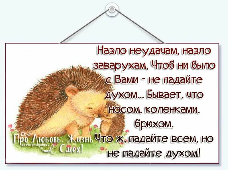 Назло неудачам назло. Не падайте духом друзья. Падайте всем но не падайте духом стихи. Назло неудачам назло заварухам картинки. Не падайте духом стихи.