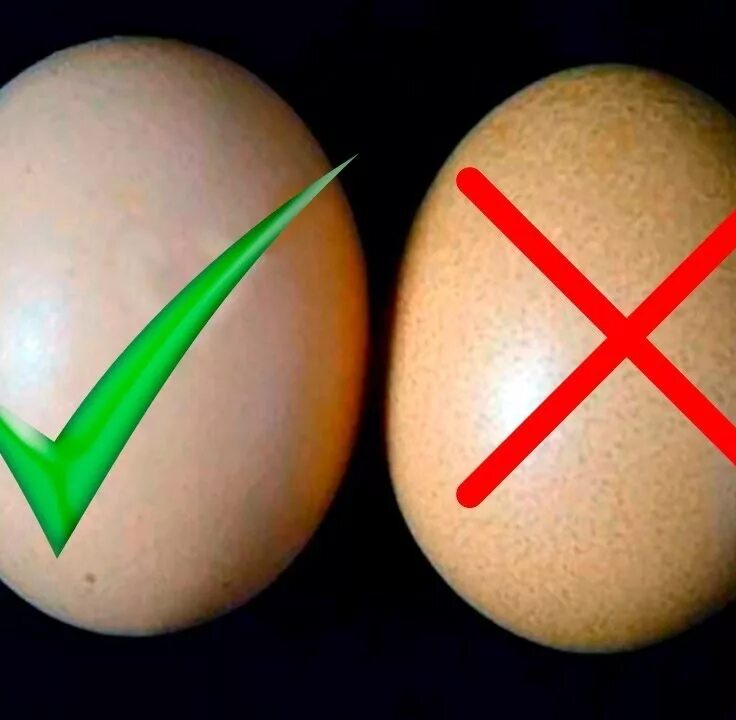 Искусственные яйца. Китайские яйца искусственные. Фальшивые яйца. Яйца ненастоящие.