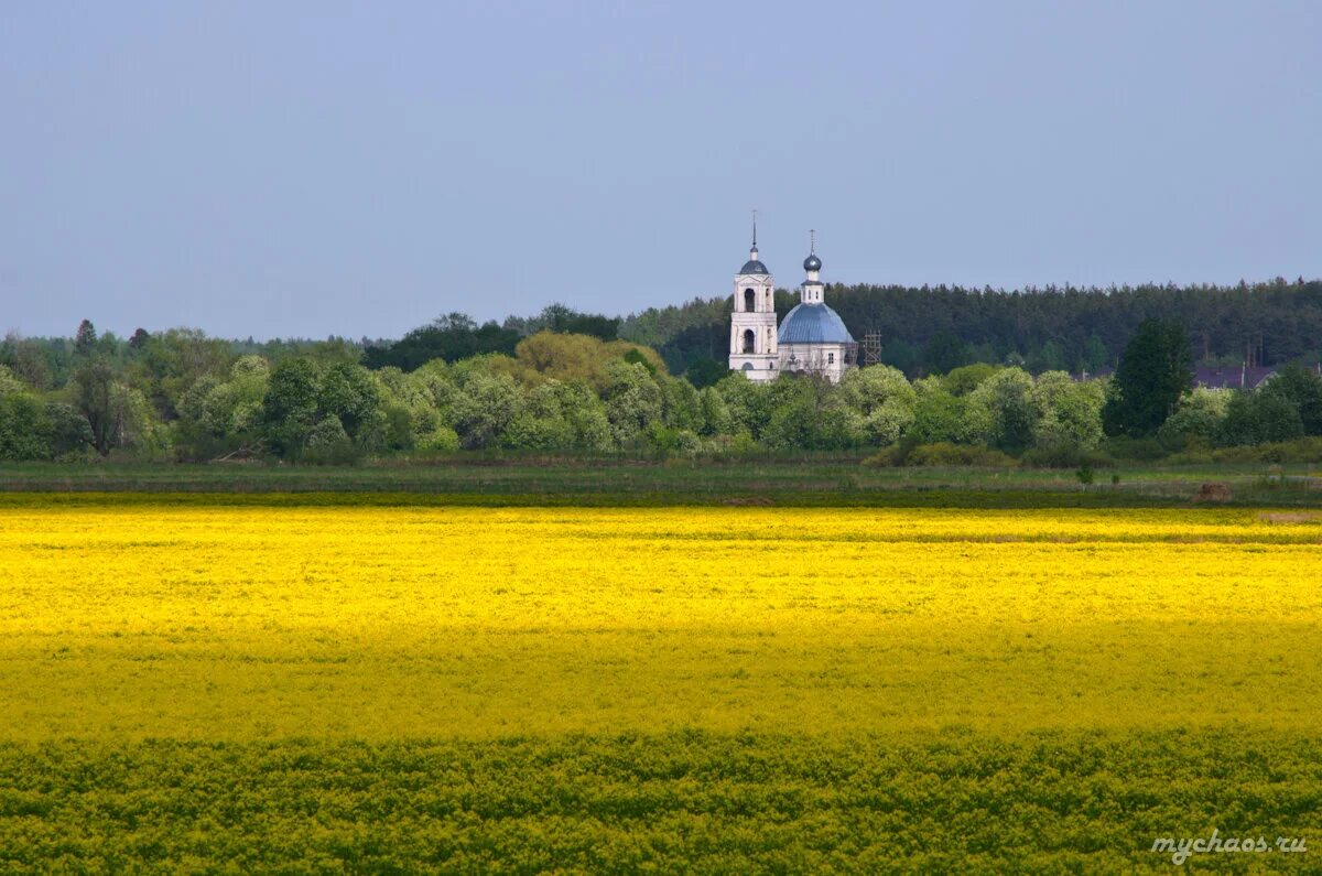 Церковь золотое поле. Церковь в поле. Фото церковь поле. Фото церковь поле. Русь степь деревня церкви.
